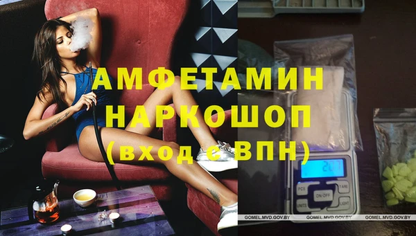 гашик Балахна