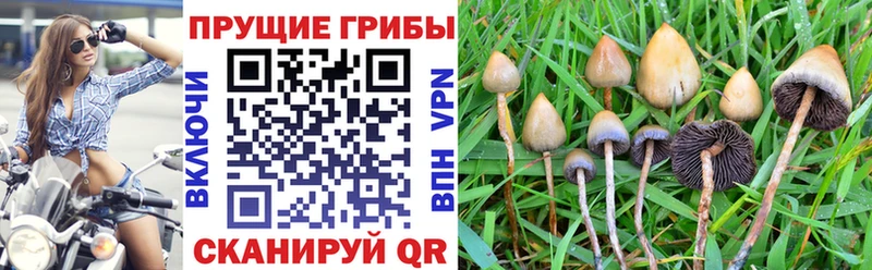 hydra ссылки  магазин    Лыткарино  Галлюциногенные грибы Cubensis 