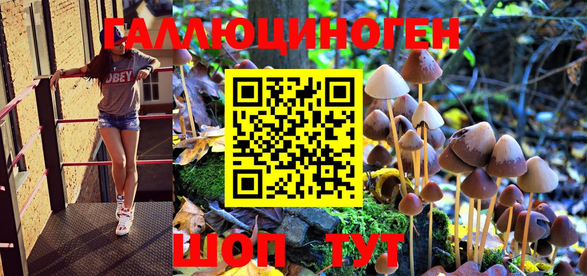 Галлюциногенные грибы GOLDEN TEACHER Лыткарино